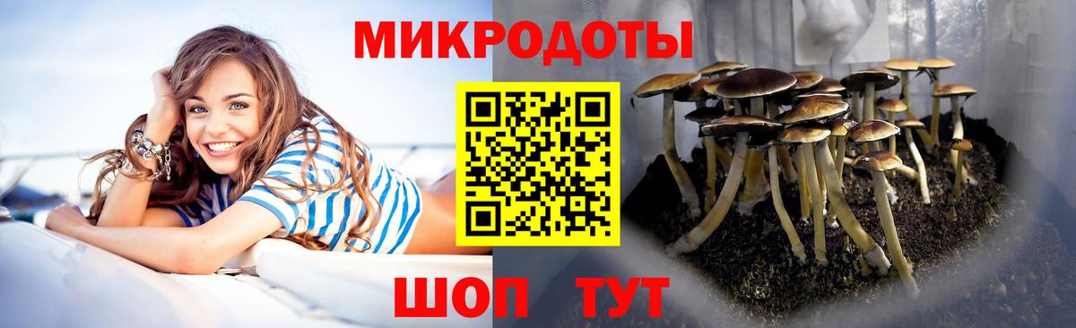 Галлюциногенные грибы прущие грибы Чернушка