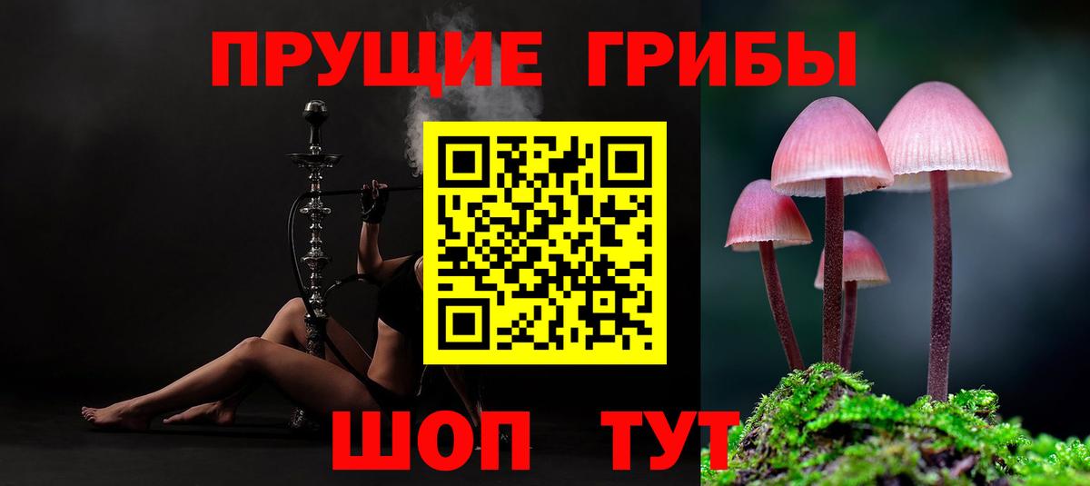 Галлюциногенные грибы прущие грибы  Вход с VPN  Чернушка 